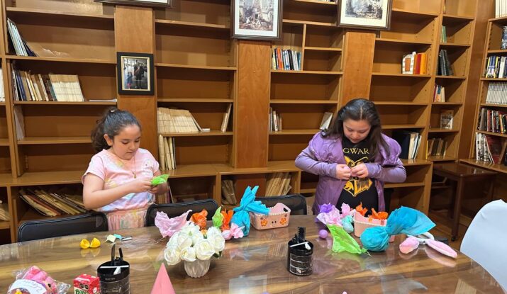 Taller de Habilidades Motrices para niños